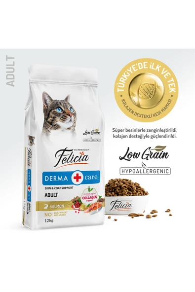 Felicia Somonlu Yetişkin Kedi Maması 12 Kg ürün görseli 1