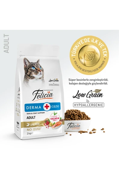 Felicia Kolajen Destekli Hipoalerjenik Somonlu Yetişkin Kedi Maması 2KG ürün görseli 1