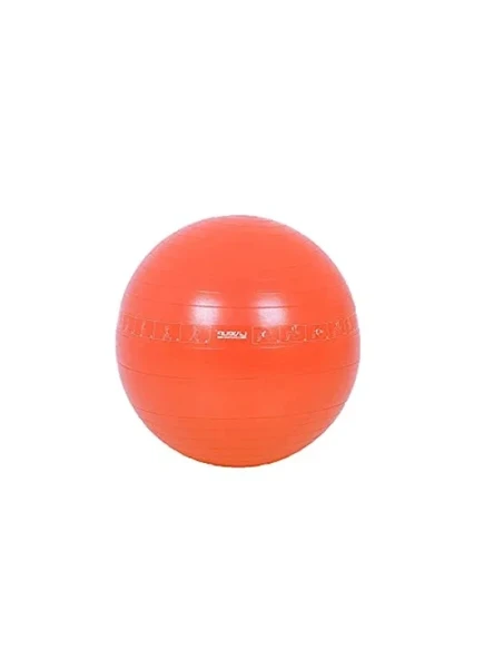25 cm Çapında PVC Pilates ve Jimnastik Topu ürün görseli 1