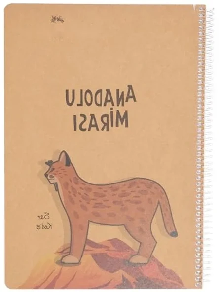 Çizgili A4 Spiralli Defter - 100 Yaprak (Asorti Renkler) ürün görseli 1