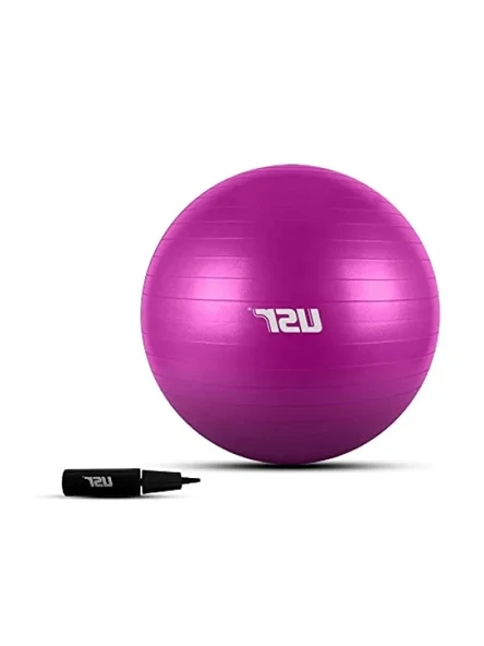 55 cm Pilates Topu ve Pompası - Anti-Burst Özellikli ürün görseli 1