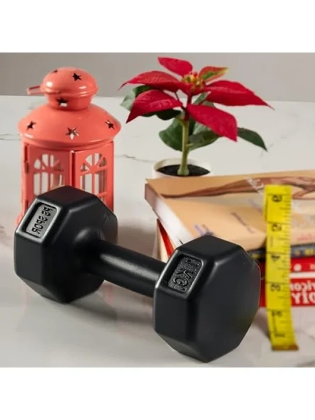 2 Adet 1 kg Dambıl Seti - Dayanıklı ve Kullanışlı ürün görseli 1