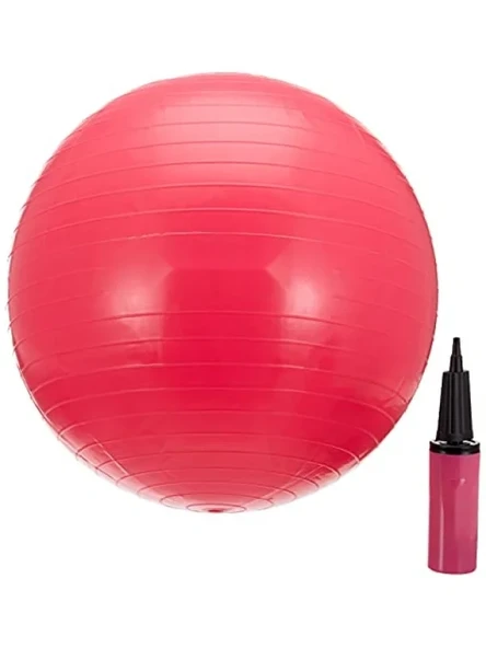 55 cm Pompalı Pilates Topu - Dayanıklı PVC Malzeme ürün görseli 1