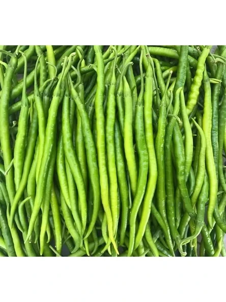 Acı Biber Tohumu - 5 Gram - Resim 2