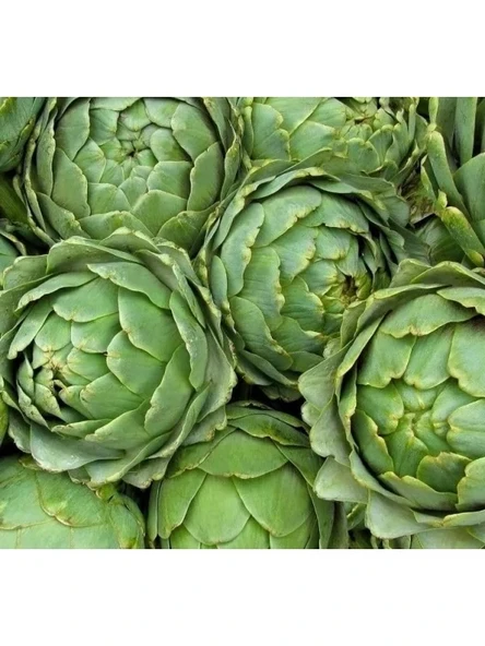Güvenilir Enginar Çoklu Tohum - 3 Gram - Resim 2