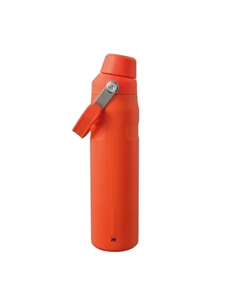 0.60 Litre Kapasiteli Turuncu/Mürdüm Renkli Paslanmaz Çelik İçecek Şişesi ürün görseli 1
