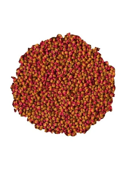 Cichlid Renk Artırıcı Mini Yem - 100gr ürün görseli 1