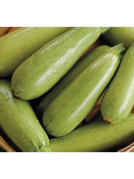Sakız Kabak Tohumu - 10 Gram - Resim 3