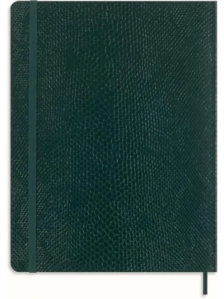 Yeşil Çizgili XL Boy Defter - Kutulu ürün görseli 1