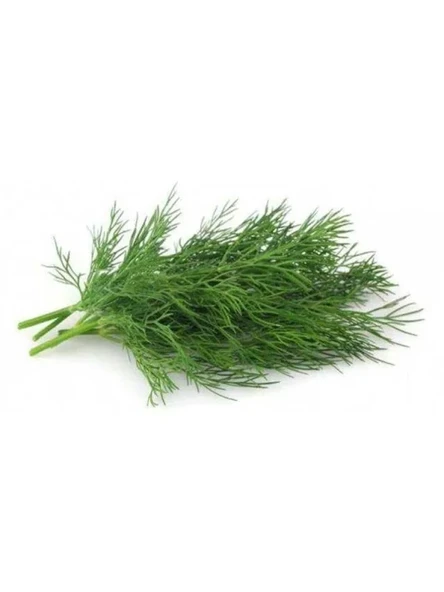 Kokulu Dereotu Tohumu - 5 Gram ürün görseli 1