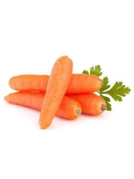 Havuç Tohumu - 5 Gram ürün görseli 1