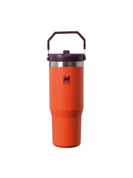Turuncu/Mürdüm Pipetli Termos Bardak, 0.89 Litre Yalıtımlı ürün görseli 1