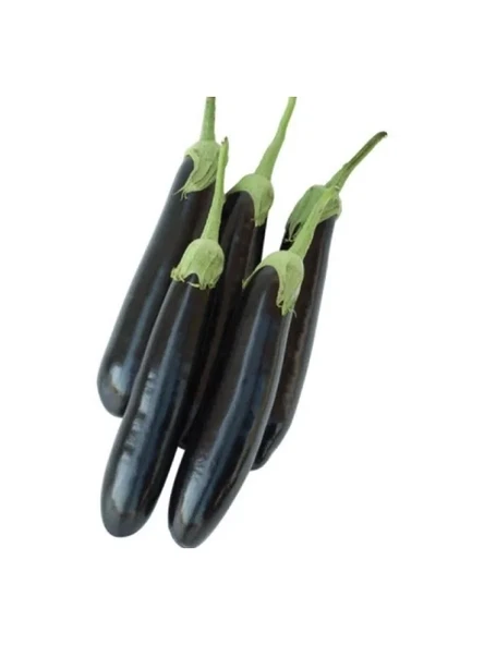 Aydın Siyah Patlıcan Tohumu - 5 Gram ürün görseli 1