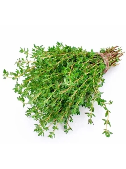 Kekik Tohumu (Çoklu Paket) - 3 Gram ürün görseli 1