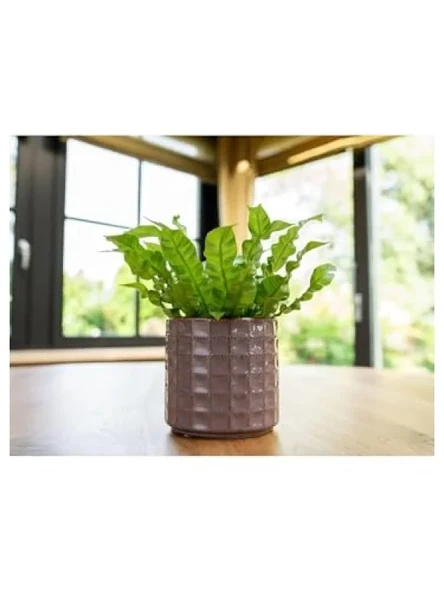 Pembe Renkli Seramik Saksı 14x13 cm - Resim 2
