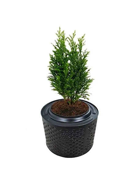 Fırınlanmış Metal Büyük Saksı - 33-38 cm Yükseklik, 45-55 cm Çap ürün görseli 1