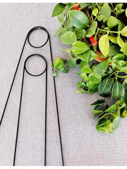 2 Adet Siyah Metal Destek Çubuğu, 65 cm, Büyük Yapraklı Bitkiler İçin ürün görseli 1