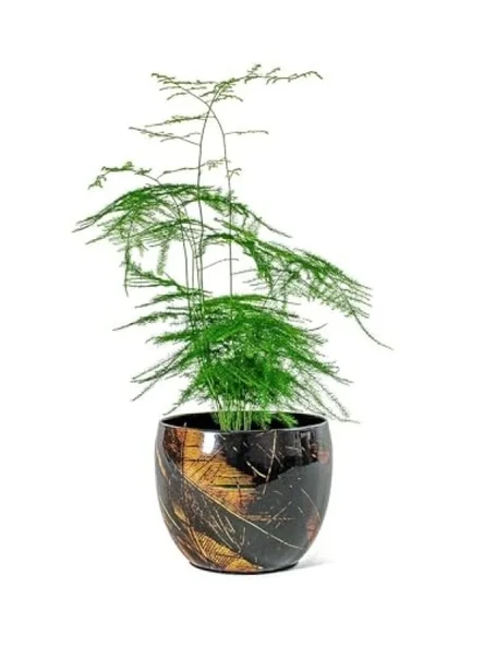Siyah Metal Saksı - 15x12 cm - Resim 2