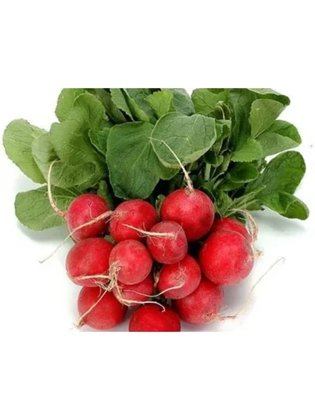 Doğal Cherry Turp Tohumu - 10 Adet ürün görseli 1