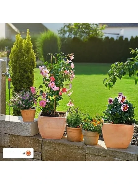 Balkon Bitkileri İçin Pratik Ekim Seti - Resim 2