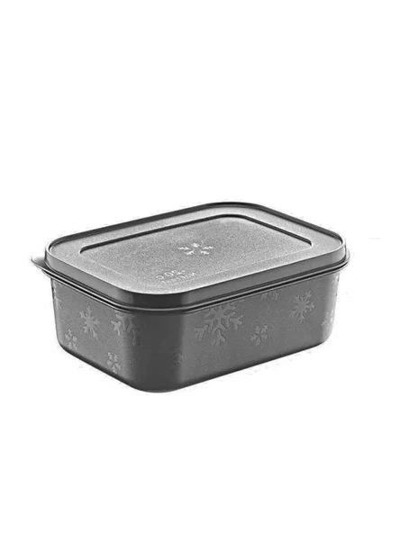 No Frost Silikon Saklama Kabı | Kapaklı, 675ml ürün görseli 1