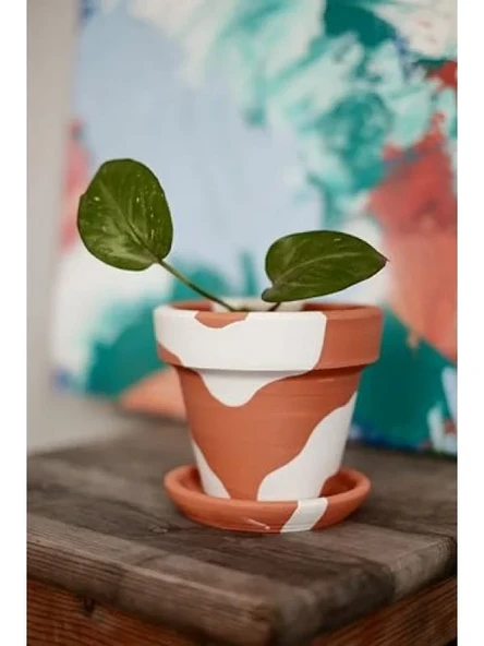 El Yapımı Terracotta Konik Saksı + Tabak - Bohem Beyaz (Küçük) ürün görseli 1