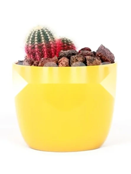 Doğal Kırmızı Pomza Taşı - 2-3 cm Volkanik Cürüf ürün görseli 1