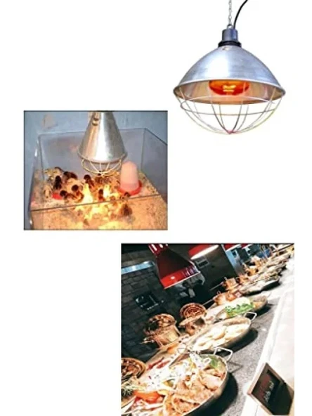 250W Infrared Şeffaf Ampul E27 - Resim 3