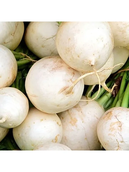 Turp Beyaz Kız Tohumu - 10 Gram ürün görseli 1