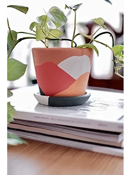 Terracotta Savana Saksı - Orta Boy, Yeşil ve Sarı Renk ürün görseli 1
