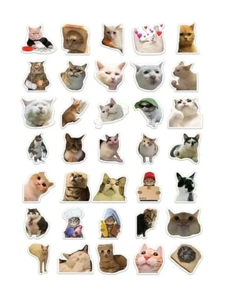 35 Adet Kedi Mood Sticker Seti - Ajanda ve Defterler için ürün görseli 1