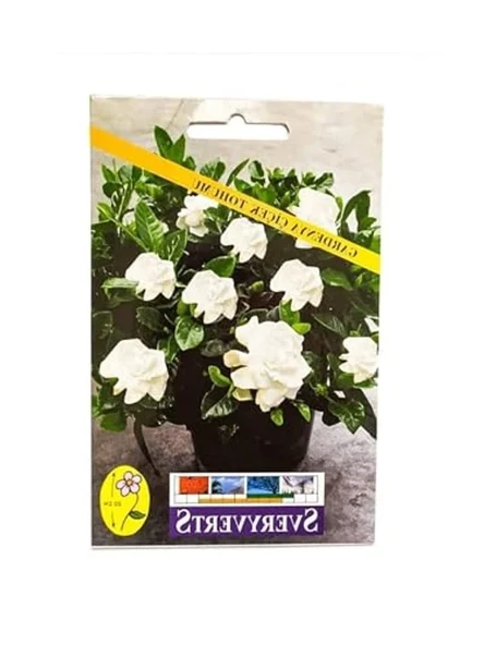 Gardenya Çiçeği Tohumu, Bahçenizi Renklendirmek İçin ürün görseli 1