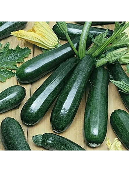 Agrodal Tarım Ata Tohumu Yerli Esmer Siyah Kabak Tohumu 20 Adet Tohum ürün görseli 1