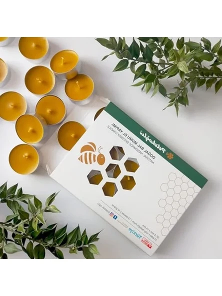 Petekoğlu (12 Adet) Tealight Doğal Petek Balmumu mum Standart Boy Beeswax Candle [Enerji Sınıfı A+] ürün görseli 1