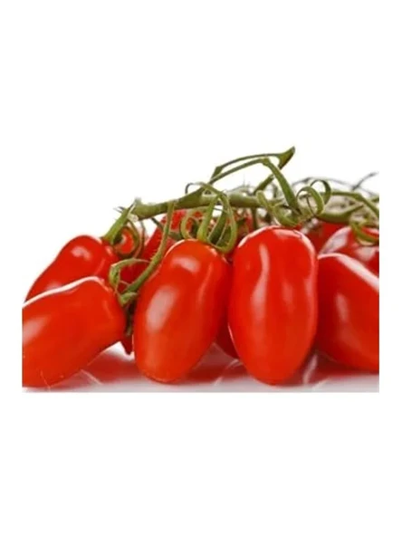 20 Adet Domates Tohumu, Patio San Marzano ürün görseli 1