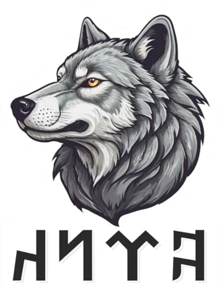 10x10 cm Bozkurt Sticker Seti, 3 Adet Araba, Laptop ve Kask İçin ürün görseli 1