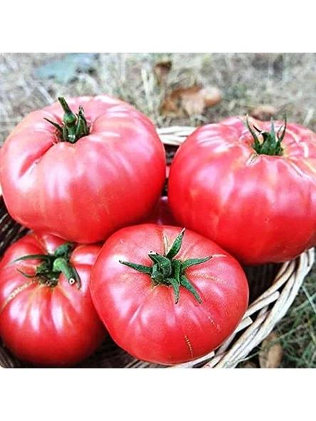 Yerli Dilimli Pembe Köy Domatesi Tohumu, 100 Adet, Ekonomik Paket ürün görseli 1