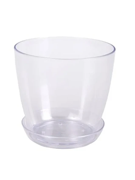 1,5 litre şeffaf kristal orkide saksısı, estetik görünüm ürün görseli 1