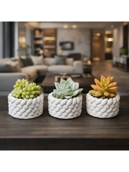 El Yapımı Mini Saksı Seti, 5 cm, Modern Beton Tasarım ürün görseli 1