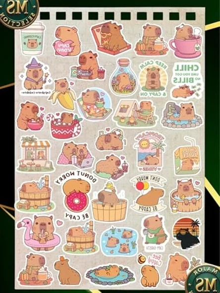 Suya Dayanıklı Capybara Sticker Seti, 35’li, A5 Boyut ürün görseli 1