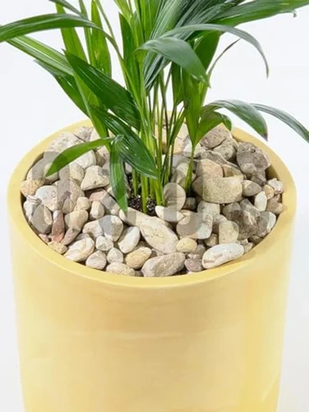 Dekoratif Dolomit Çakıl Taşı, 1-3 cm, 1 kg ürün görseli 1