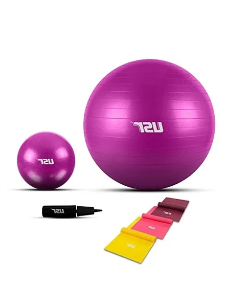 Pilates Topu ile Pompa, 25+65 cm ve 3 Lastik ile Egzersiz İçin ürün görseli 1