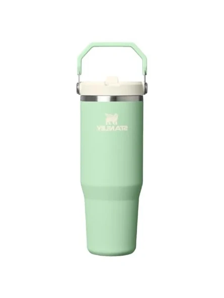 Pipetli Tumbler, 0.89 Litre Kapasite, Şık Yeşil Tasarım ürün görseli 1