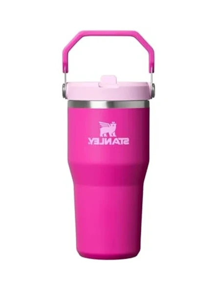 Pembe Termos, Kullanışlı ve Şık Tasarım ile Günlük Kullanım için ürün görseli 1