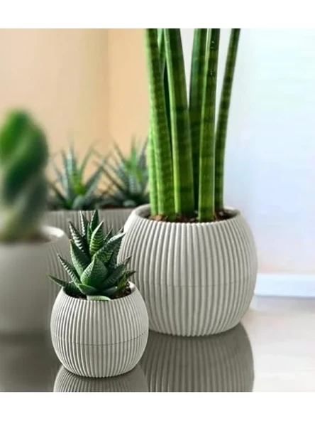 İç ve Dış Mekan için Tabaklı Plastik Saksı Seti, 0,15 Litre ve 0,7 Litre ürün görseli 1
