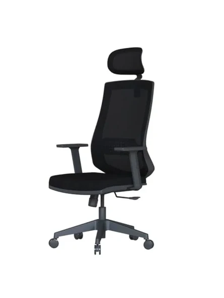 Ergonomik Fileli Ofis Çalışma Koltuğu, Ayarlanabilir Başlık ve Bel Desteği ürün görseli 1
