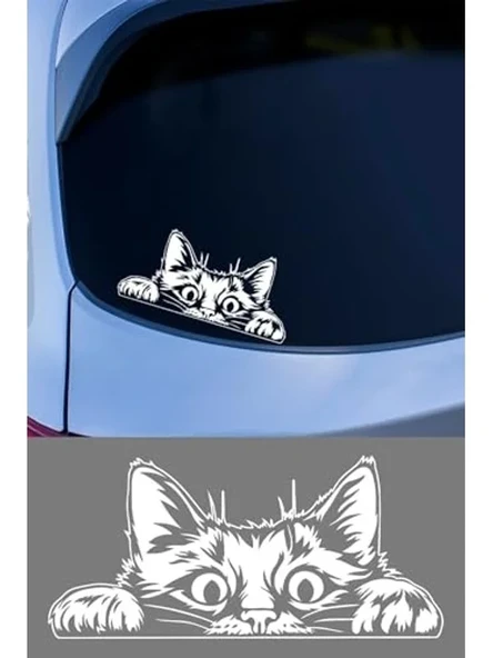 Cam ve Metal Yüzeye Uygun Kendinden Yapışkanlı Kedi Oto Sticker, 15x15 cm ürün görseli 1