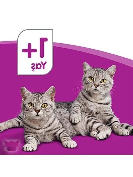 Ton Balıklı Kuru Mama 300 G - Resim 3