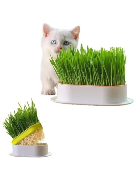 Doğal Kedi Çimi, Tüy Yumağı Önleyici Plastik Kâse ile ürün görseli 1
