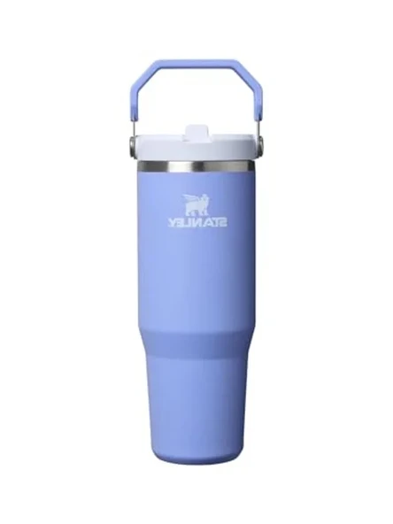 Ortanca Renkli 0.89 Litre Pipetli Termos Bardak ürün görseli 1
